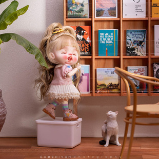12娃娃屋Dollhouse迷你6分BJD Blythe中古阅读展示架书架