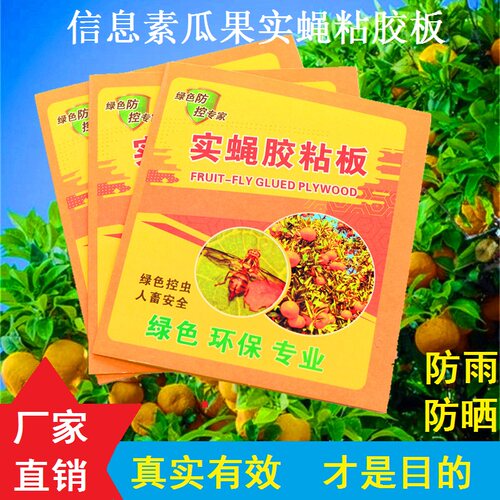 瓜果实蝇粘胶板果实蝇诱捕贴果园粘虫板信息素黏胶板诱杀针蜂黄板