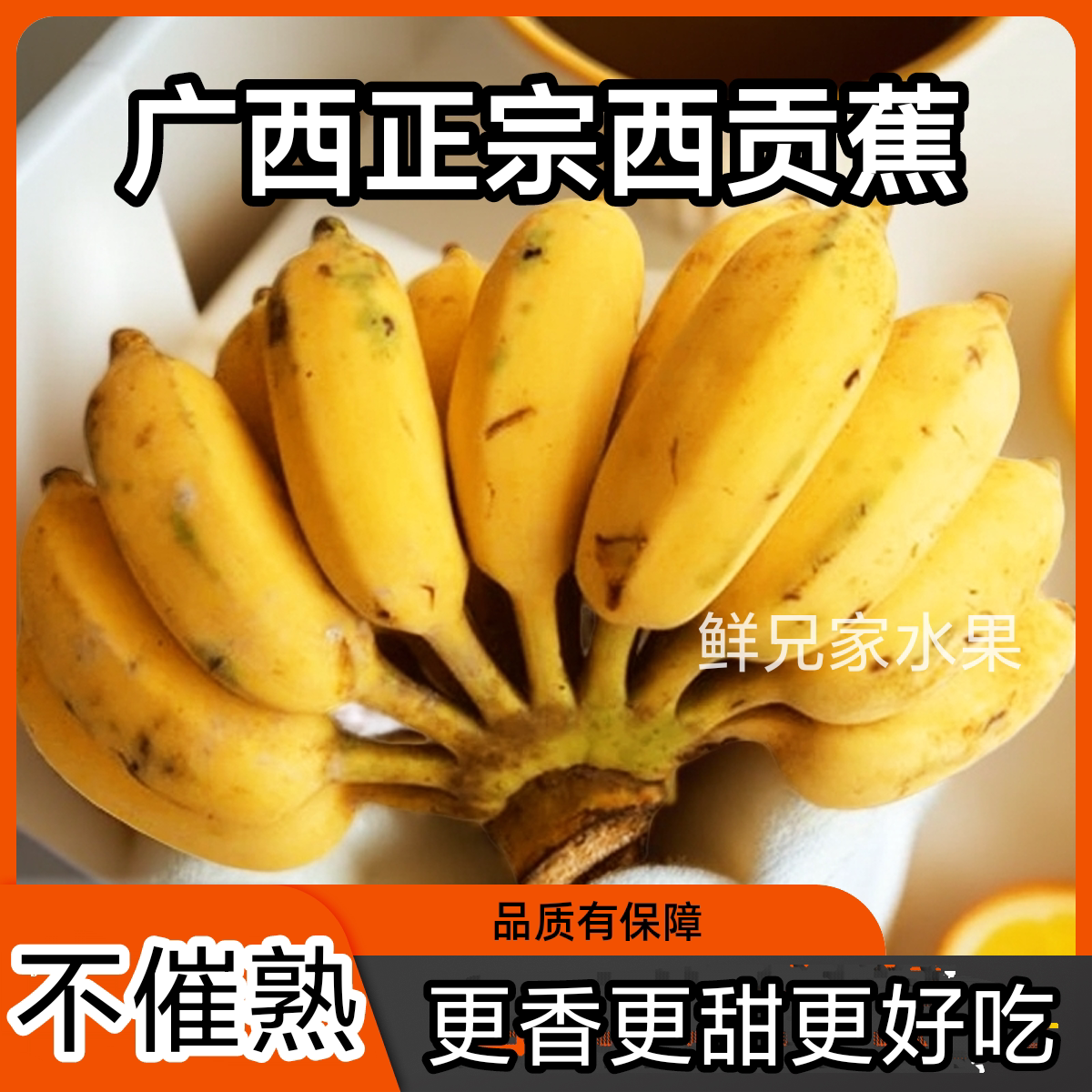 不催熟广西西贡粉蕉新鲜现砍现发小米蕉水果软糯低糖鲜兄家水果