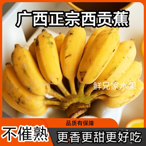 不催熟广西西贡粉蕉新鲜现砍现发小米蕉水果软糯低糖鲜兄家水果