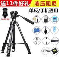 Chân máy ảnh Yunteng Nikon chân máy ảnh D90D80 / D70 / D70s / D60D50 giảm xóc điện thoại di động - Phụ kiện máy ảnh DSLR / đơn chân điện thoại chụp ảnh