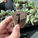 多肉种植碳棉块蝴蝶兰盆栽花卉玉露专用好养水培栽培泥炭基质扦插