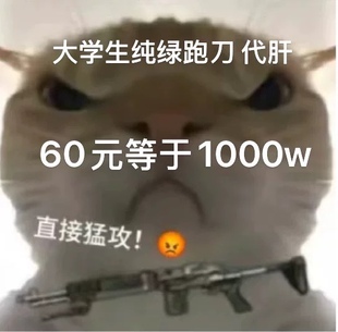 三角洲行动哈夫币代肝跑刀哈弗币1千万护航专用租号