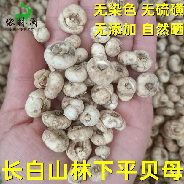 包邮东北长白山贝母林下平贝母非川贝吉林250克可打粉包邮 - 实物图