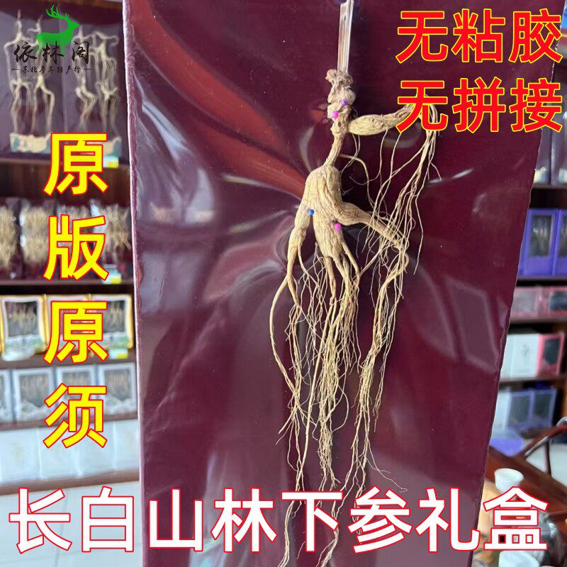 长白山林下参礼盒籽货东北山参礼盒人参山参礼盒60厘米长