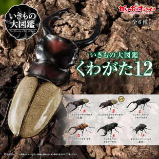 【全款预售】万代扭蛋 生物大图鉴锹形虫造型公仔12 甲壳虫 摆件