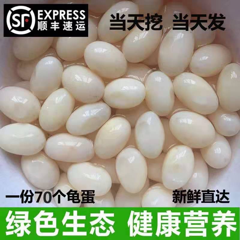 顺丰新鲜乌龟蛋食用一斤多中华草龟蛋美容补肾泡酒药材宝宝辅食