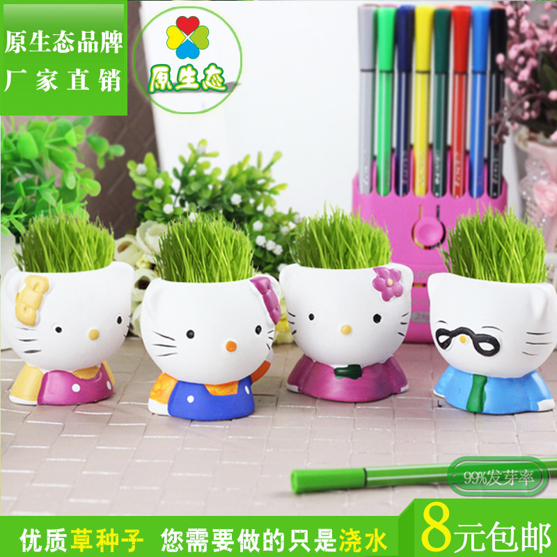公仔多肉花盆礼品卡通摆件
