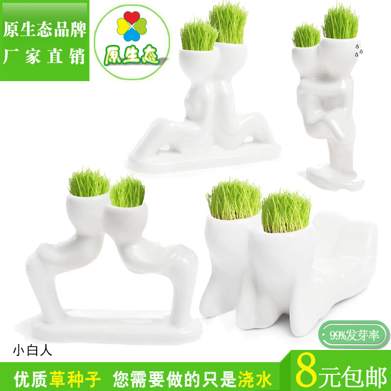 陶瓷种植长草小红人微景观diy