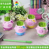 卡通多肉花盆 草娃娃 桌面舒压植物 微景观 礼品 陶瓷摆件 淘气猪