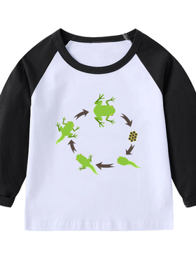 青蛙长袖T恤衫黄色衣服装男童红色插肩袖女孩子套头儿童装圆领