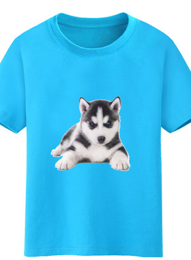 二哈狗儿童2年级3女孩4短袖T恤5宝宝6衣服7男童8童装9岁学生班服