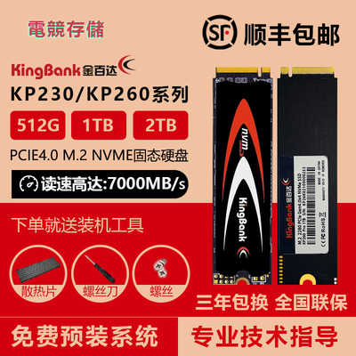 金百达M.2NVME固态硬盘512GB