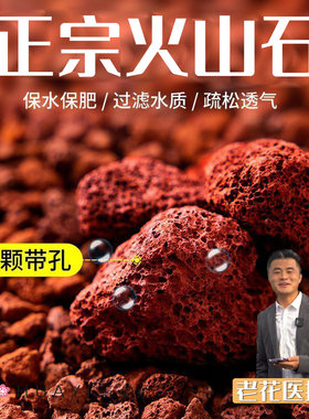 老花医火山石颗粒多肉铺面过滤