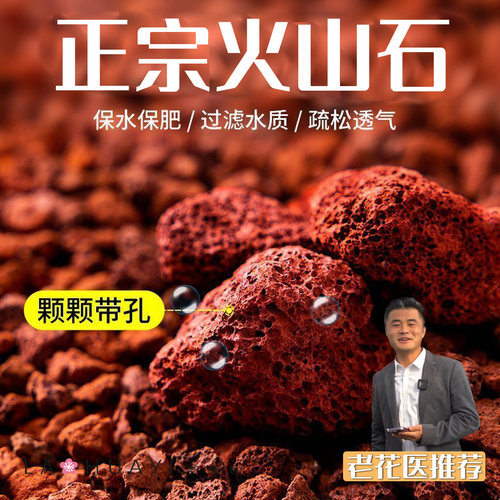 老花医火山石颗粒多肉铺面过滤