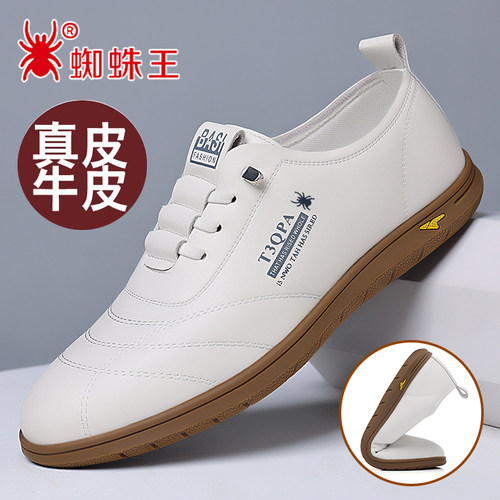 蜘蛛王男鞋新款透气真皮小白鞋