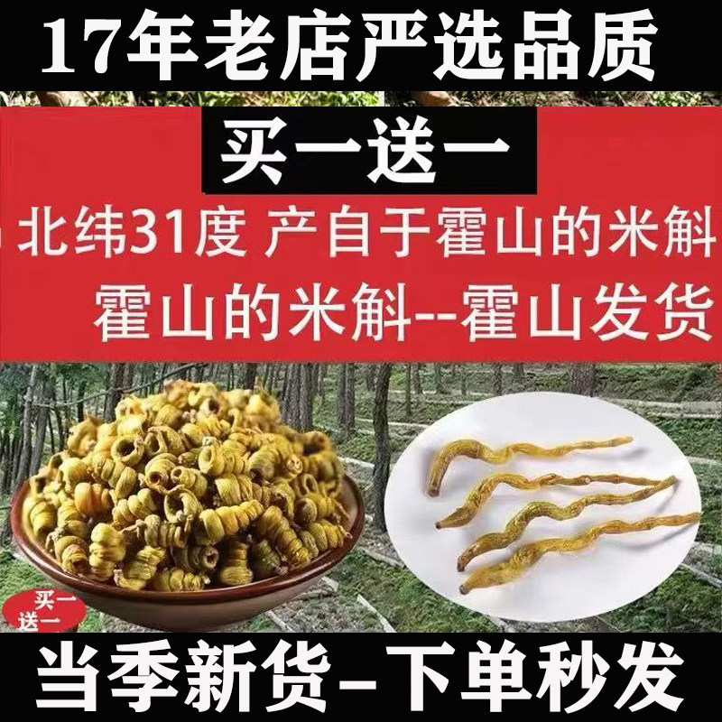 买1送1正宗霍山米斛枫斗龙头凤尾草干条蚱蜢腿安徽原产地
