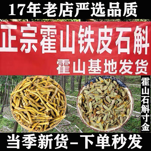 霍山发货霍山铁皮石斛寸金5年生