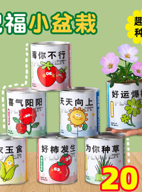 儿童DIY种植小盆栽创意礼盒