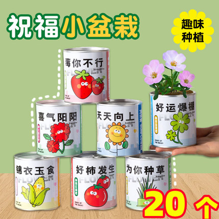 儿童DIY种植小盆栽创意办公室桌面绿植花卉罐头伴手礼幼儿园奖品