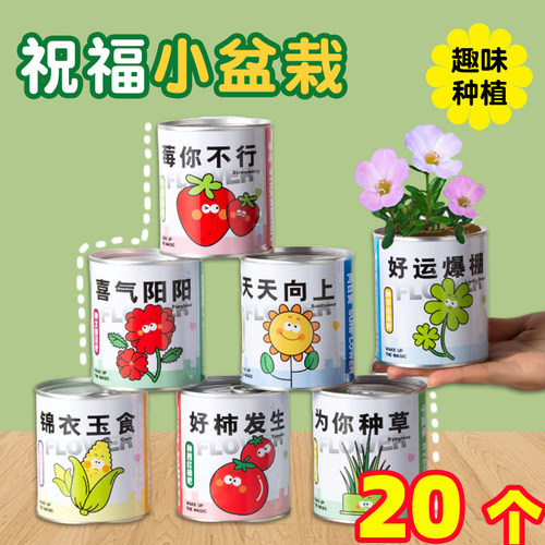 儿童DIY种植小盆栽创意礼盒
