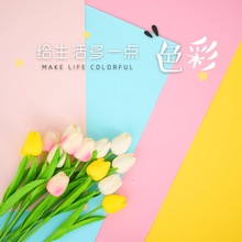 拍照背景纸ins拍照道具拍照背景布摄影拍摄道具彩色卡纸装饰摆拍