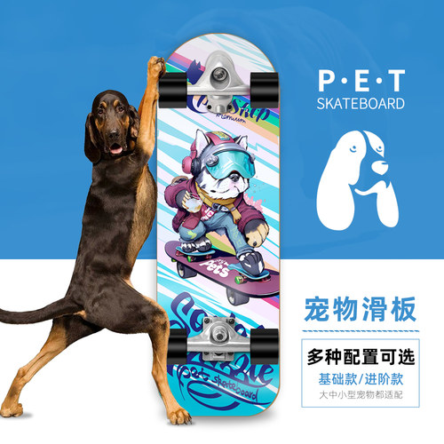 滑板英斗法牛雪纳瑞柯基狗用