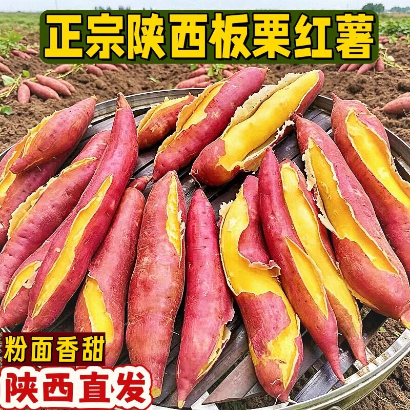 正宗陕西板栗红薯新鲜农家自种沙地现挖地瓜干面粉甜番薯黄心地瓜