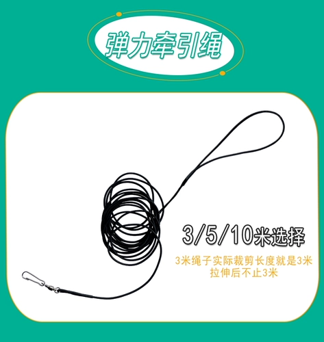 Эластичный ремень, браслет на ногу для выхода на улицу, 3м, 10м