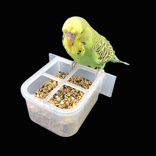 虎皮牡丹玄凤鹦鹉文鸟珍珠鸟四格八格防撒防溅食槽饲料食盒鸟用具