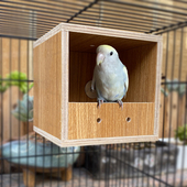 宠物小木屋鹦鹉窝繁殖箱仓鼠八哥文鸟珍珠牡丹鹦鹉玄凤鸟窝 包邮