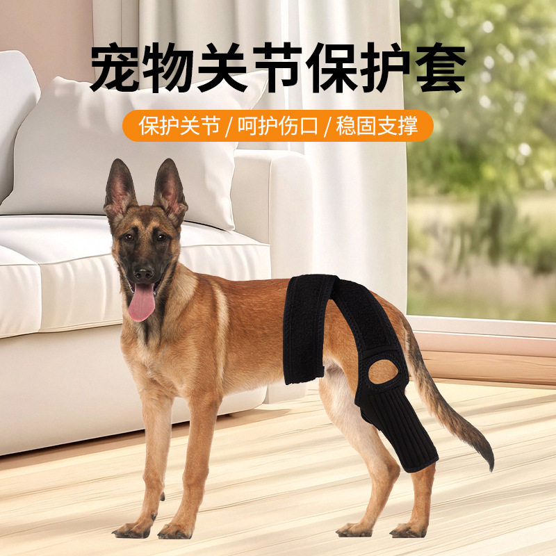 跨境热销宠物狗护腿狗护膝韧带撕裂受伤保护美容康复带关节狗护具