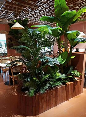 仿真热带植物造景网红打卡室内隔断布置散尾葵美人蕉氛围软装摆件