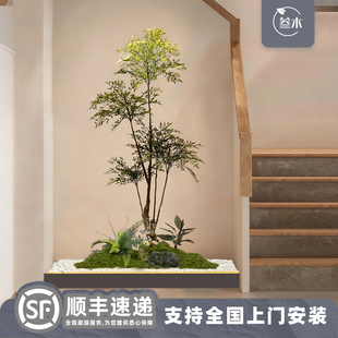 小型南天竹楼梯间造景室内盆栽植物仿真景观仿生绿植装饰落地摆件