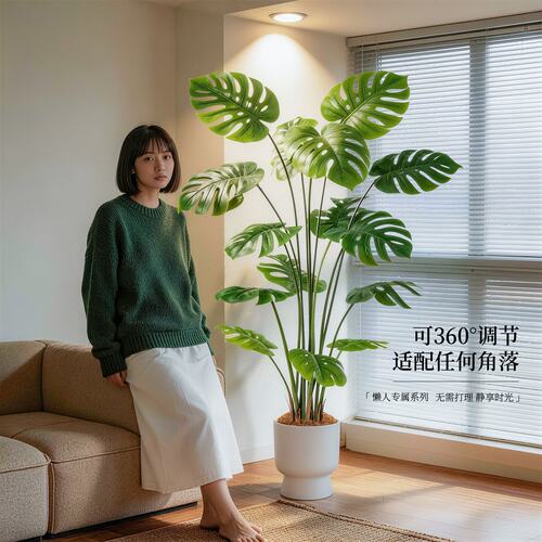 【绿植小白福音】超好养不掉黄叶