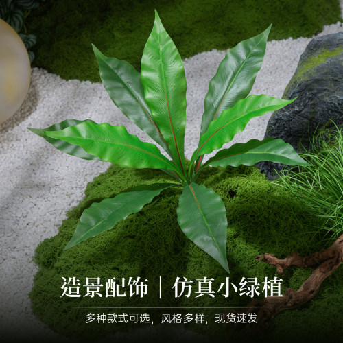 【空间美化】室内仿真小绿植摆件