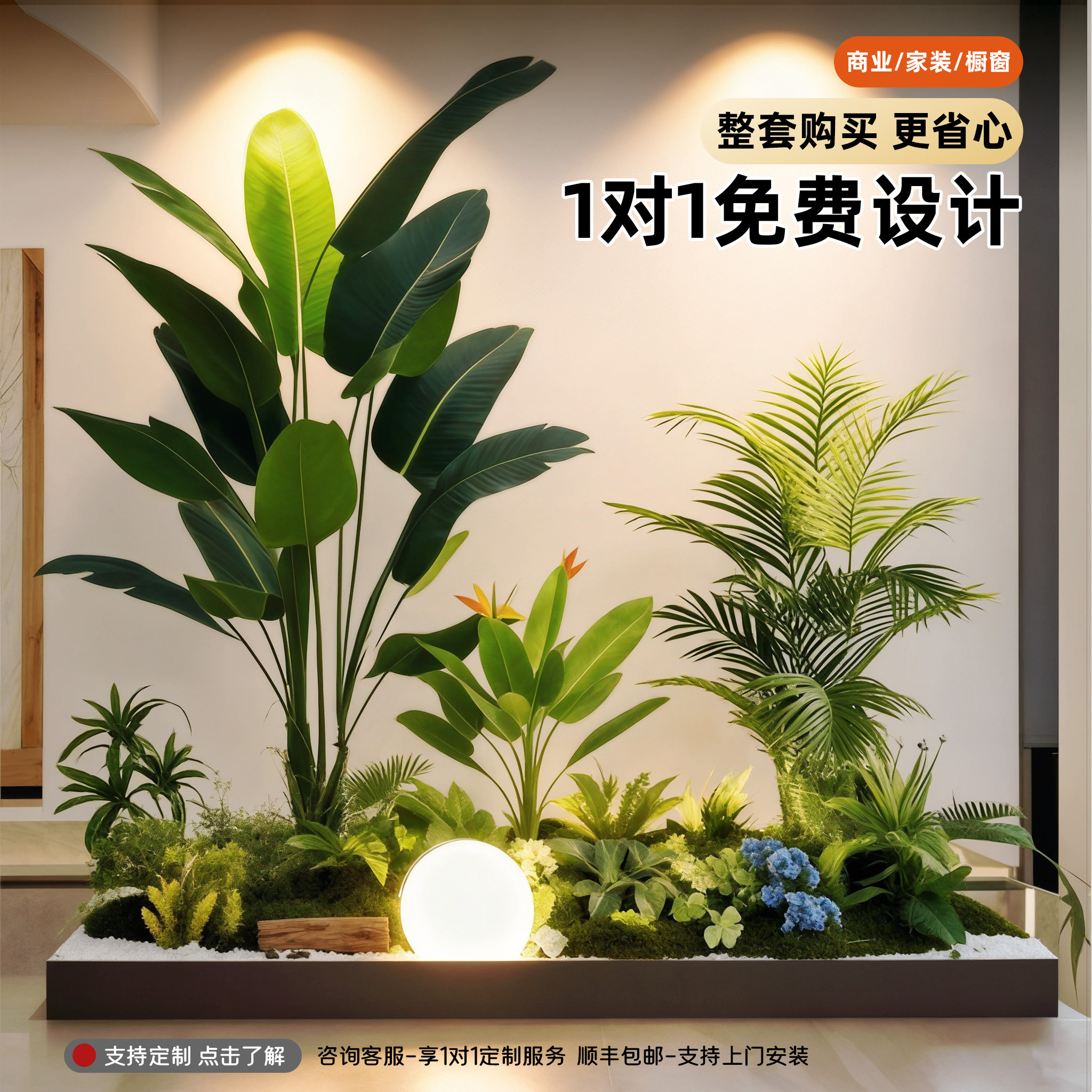 客厅落地式绿植室内美人蕉造景