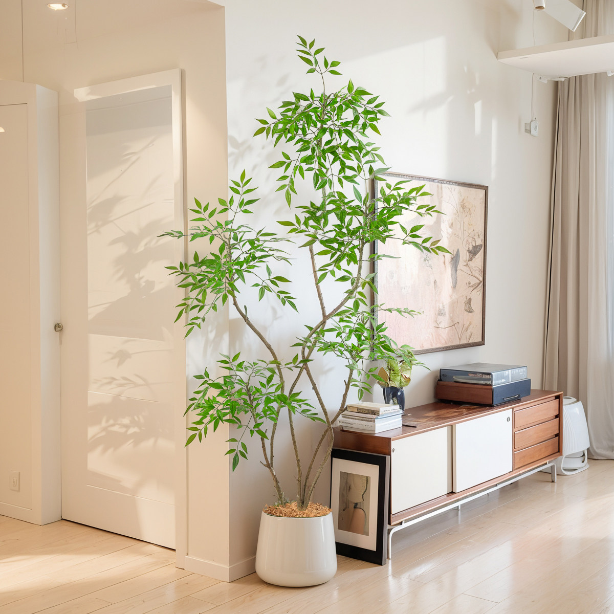 仿真植物南天竹落地盆栽仿生绿植摆件客厅沙发边家居装饰盆景假树,鲜花速递/花卉仿真/绿植园艺,仿真花,淘宝优惠券,粉丝福利购,淘宝优惠卷