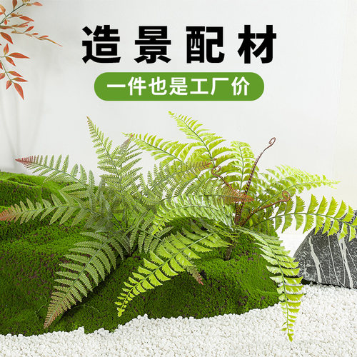 造景专属小配件假绿植
