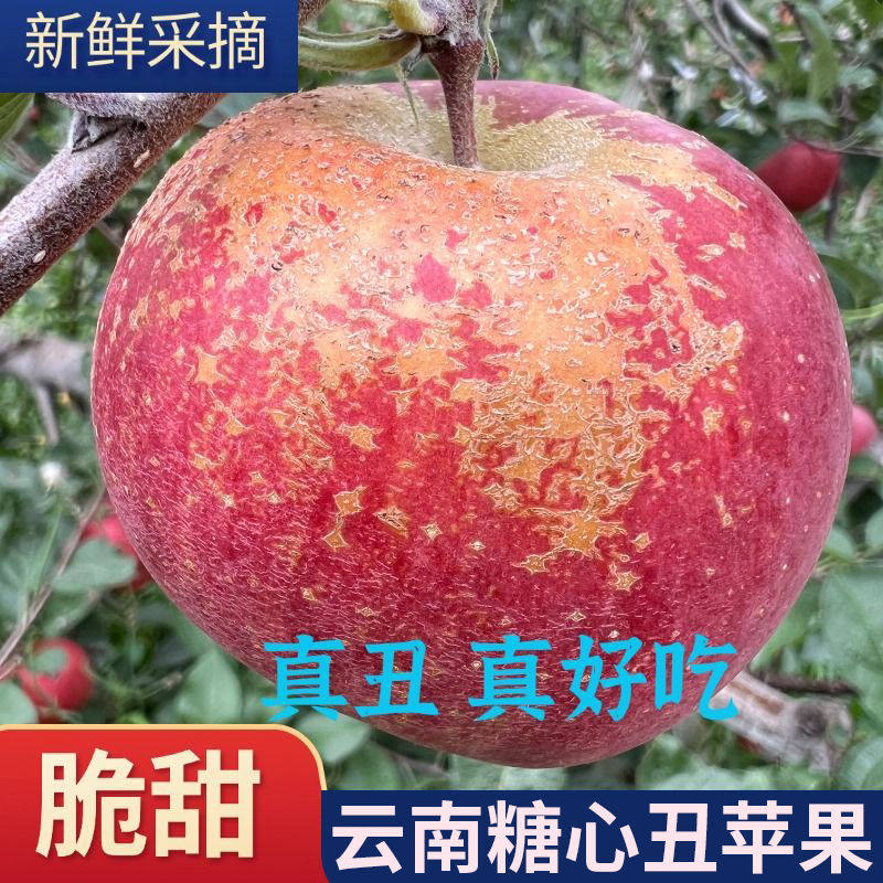 云南昭通丑苹果正宗冰糖心苹果新鲜水果当季整箱孕妇红富士萍果,水产肉类/新鲜蔬果/熟食,苹果,淘宝优惠券,粉丝福利购,淘宝优惠卷