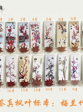 梅兰竹菊植物书签枫叶标本小礼品