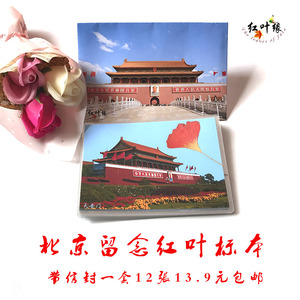 北京留念红叶标本 枫叶标本 真树叶 旅游纪念小礼物 中国风贺卡片