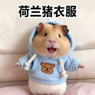 荷兰猪衣服专用可爱冬天豚鼠保暖服饰拍照小号服装背心用品装扮