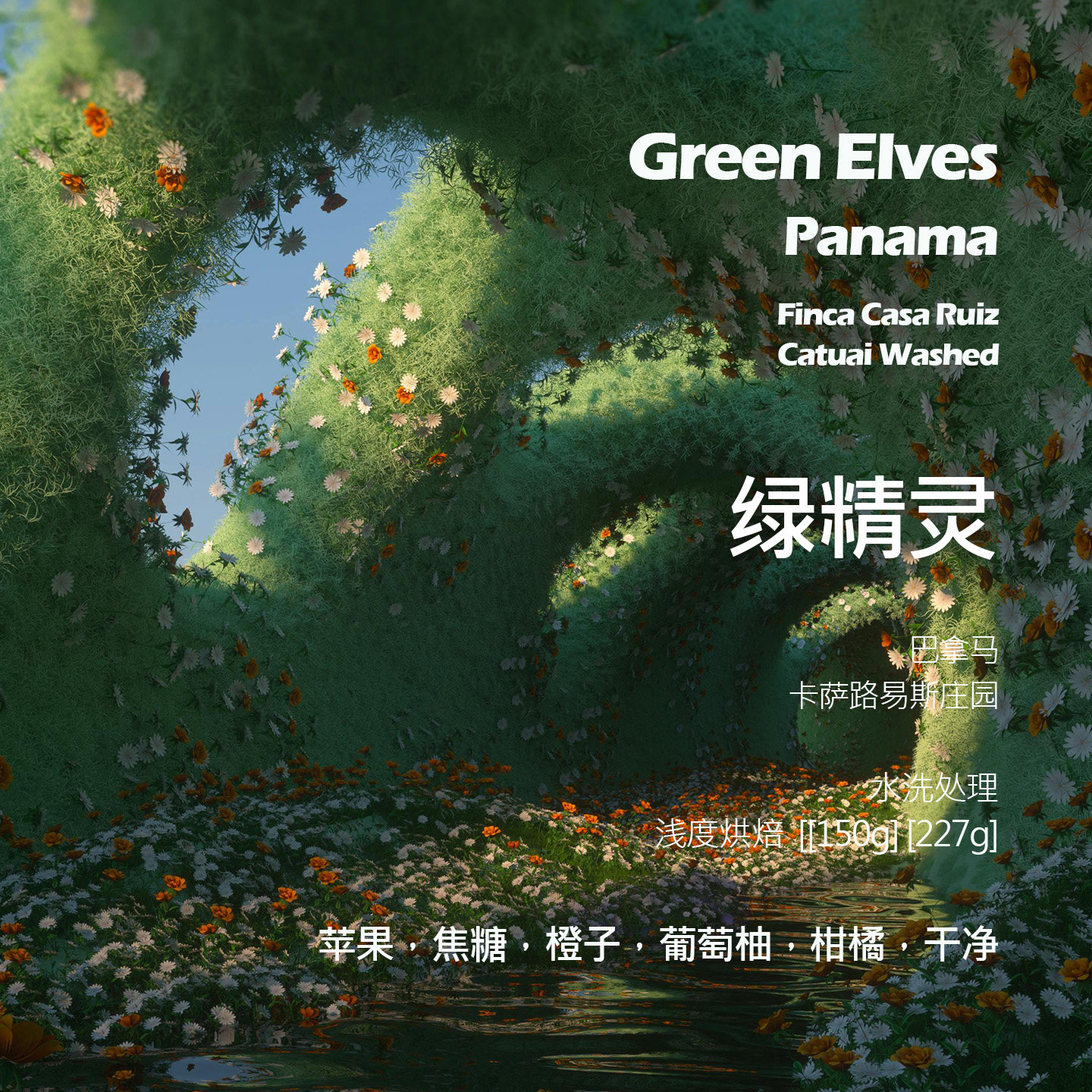 巴拿马卡萨路易斯庄园绿精灵卡杜艾水洗手冲单品咖啡豆新鲜浅烘