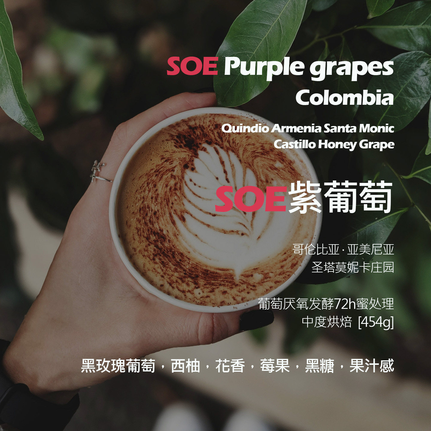 SOE哥伦比亚圣塔莫妮卡紫葡萄厌氧发酵72h蜜处理单品意式咖啡豆