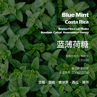 哥斯达黎加布伦卡巨石庄园蓝薄荷糖重发酵蜜处理手冲单品咖啡豆