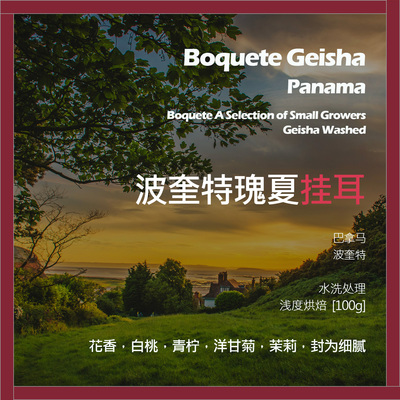 挂耳巴拿马波奎特小农精选波奎特瑰夏水洗单品咖啡豆新鲜浅烘青柠