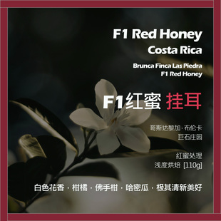 挂耳哥斯达黎加巨石庄园F1红蜜处理单品咖啡豆新鲜浅烘柑橘哈密瓜