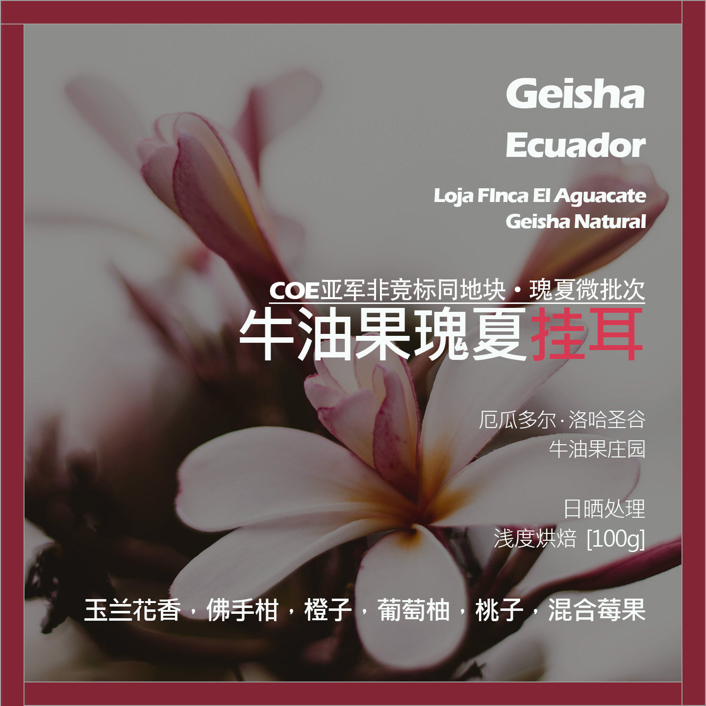 挂耳厄瓜多尔牛油果庄园瑰夏日晒单品咖啡豆新鲜浅烘佛手柑葡萄柚