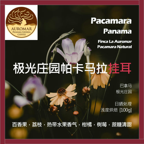 挂耳巴拿马极光庄园帕卡马拉日晒单品咖啡豆浅烘柑橘树莓蔗糖清甜